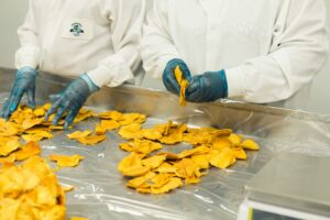 inpakt arbeidsmigratie op nederlandse werkzoekende