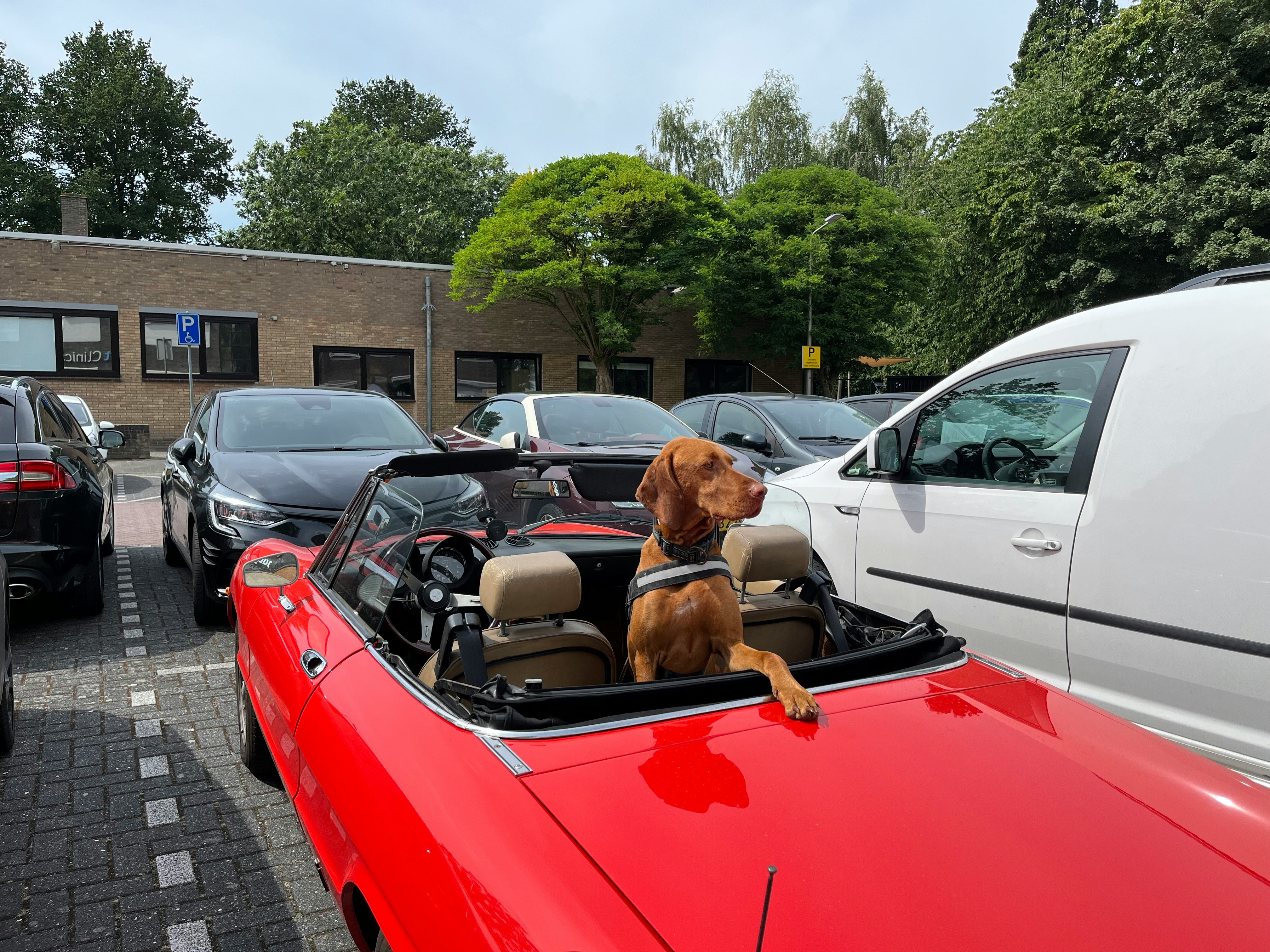 Parkeerapps op een rij, welke is de duurste en goedkoopste